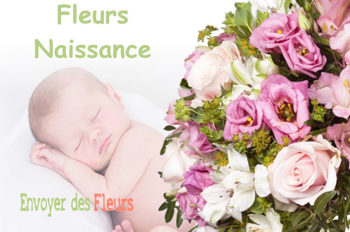 lIVRAISON FLEURS NAISSANCE à VATILIEU